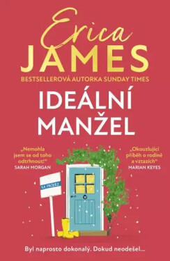 Ideální manžel - Erica James
