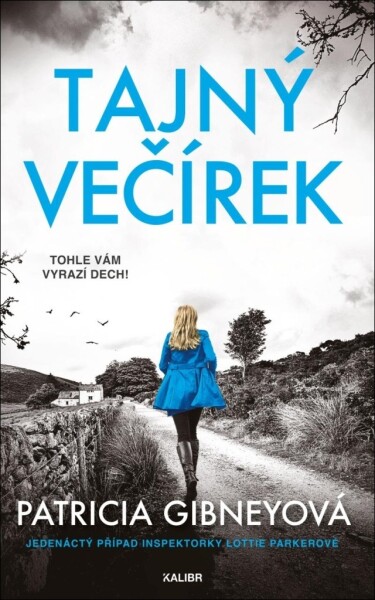 Tajný večírek (11)