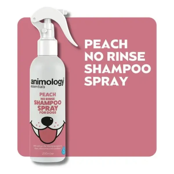 Animology Essentials Bezoplachový šampon pro psy ve spreji s broskvovou vůní 250ml (BG-ANE001-FG-00023)