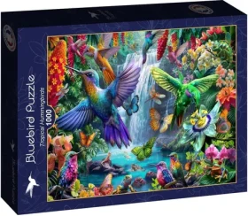 BLUEBIRD Puzzle Tropičtí kolibříci