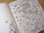 Fairy Miracles (Milované něžnosti) AJ, antistresové omalovánky, Klára Marková