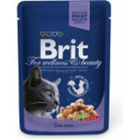 Brit Cat