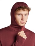 ICEBREAKER Mens Merino 260 Quantum IV LS Zip Hood, Port/Agate (vzorek) velikost: M