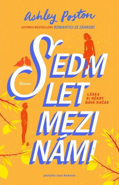 Sedm let mezi námi - Ashley Poston
