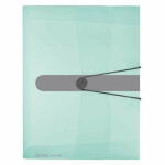Herlitz Box na spisy cm, mint