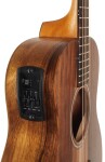 Taylor GS Mini-e Koa