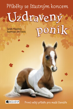 Příběhy se šťastným koncem - Uzdravený poník - Sarah Hawkins