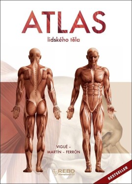 Atlas lidského těla,