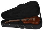 Lanikai MAS-T