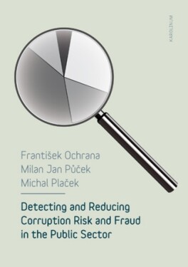 Detecting and reducing corruption risk and fraud in the public sector - František Ochrana, Michal Plaček, Milan Jan Půček - e-kniha