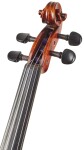 Eastman Rudoulf Doetsch Violin 4/4 (VL701G )