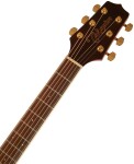 Takamine GD51CE-NAT