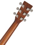 Sigma Guitars DM-1