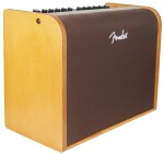 Fender Acoustic 100