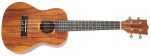 Tanglewood TWT 8