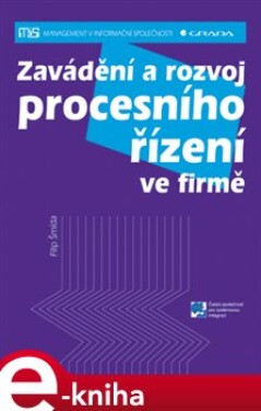 Zavádění a rozvoj procesního řízení ve firmě - Filip Šmída e-kniha