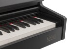 Gewa DP510 black