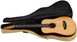 Tanglewood TR2