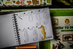 Tiger Tribe Kreativní sada - Jak kreslit - Divoké království