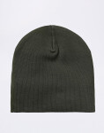 Carhartt WIP Scripter Beanie Opuntia