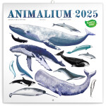 Kalendář 2025 poznámkový: Animalium, 30 30 cm