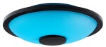 NINO NINO981