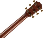 Taylor Builder's Edition 814ce Honduran/Adirondack Next Generation
