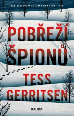 Pobřeží špionů (1)