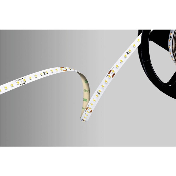 Barthelme 51542233 LED pásek 24 V 5000 mm bílá 5 m