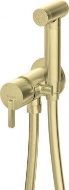 DEANTE - Silia kartáčovaná zlatá Bidetová baterie, podomítková, s bidetovou ruční sprchou BQS_R34M