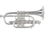 Besson BE928G-2