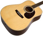 Cort Earth 100 NS