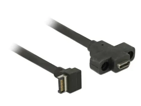 Delock kabel s montáží na panel USB 3.1 Gen 2 key A 20 pin samec USB 3.1 Gen 2 USB Type-C samice 45 cm (85326-DE)