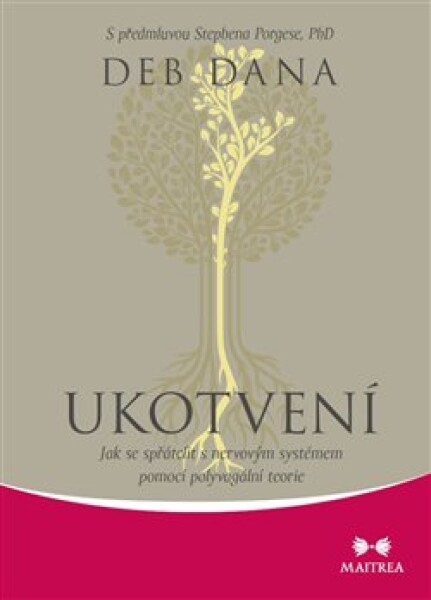 Ukotvení
