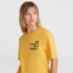 O'Neill Future Surf Society Regular T-Shirt W 92800613485 s