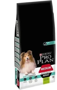 Adult Medium jehněčí