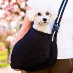TailUp taška pro psa | do 5 Kg Barva: Šedá, Dle váhy psa: do 2 kg 36 x 22 cm, 38 x 24 cm, 41 x 27 cm