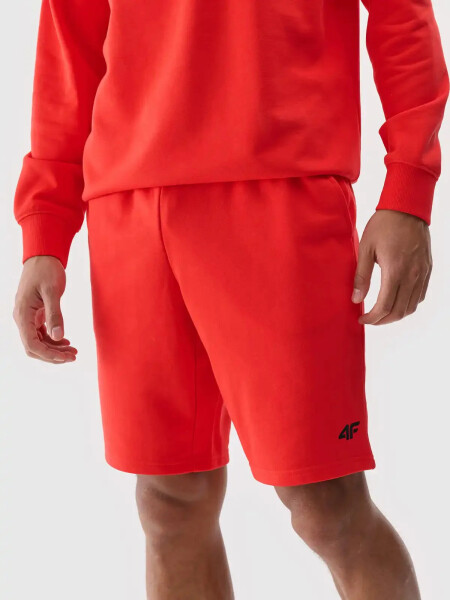 Pánské kraťasy 4F Velikost: L