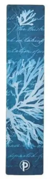 Anna Atkins’ Cyanotypes / Sea Flowers / Bookmark /