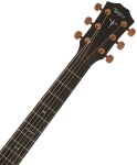Taylor 724ce