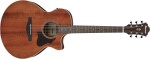 Ibanez AE140 OPN