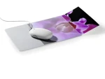 Durable Mouse Pad Plus šedá/transparentní / Podložka pod myš / s kapsou na foto / 300 x 200 mm (574719)