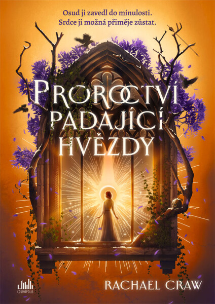 Proroctví padající hvězdy - Rachel Craw