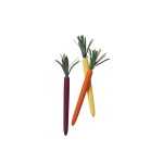 Rifle Paper Co. Sada propisek Tricolor Carrots – set 3 ks, multi barva, plast