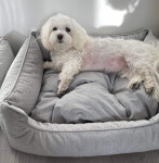 Snug elegantní pelech pro psa Barva: Modrá, Rozměr (cm): 130 x 110
