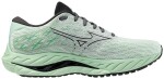 Běžecké boty Mizuno WAVE INSPIRE 20 J1GC244408 Velikost obuvi v EU: 42