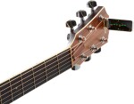 TC Electronic PolyTune Clip