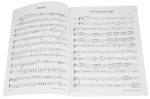 MS Folk for two Violins