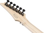 Ibanez RG653DX-TDF