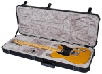 Fender American Professional II Telecaster